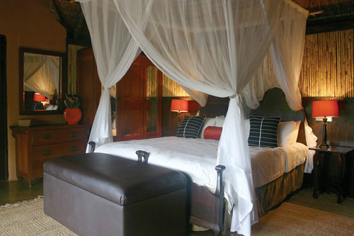 Paterson Amakhala Safari Lodge מראה חיצוני תמונה