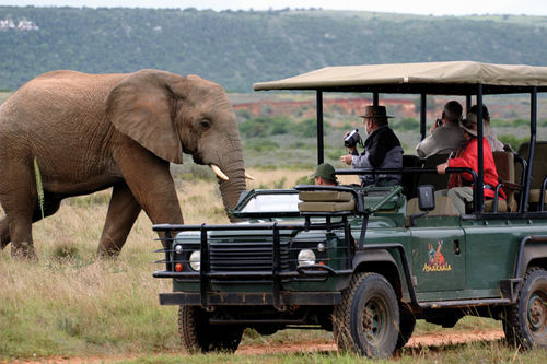 Paterson Amakhala Safari Lodge מראה חיצוני תמונה