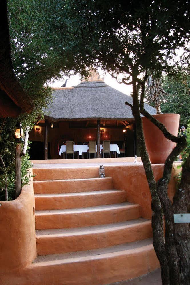 Paterson Amakhala Safari Lodge מראה חיצוני תמונה