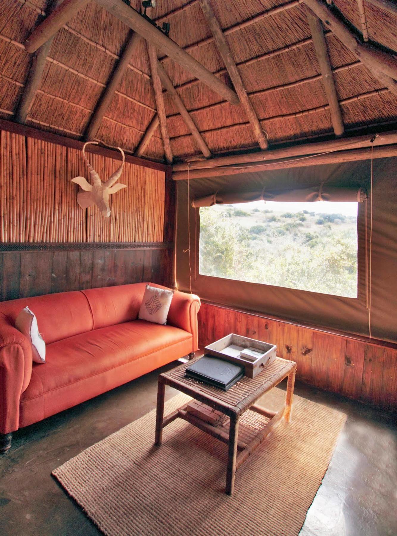 Paterson Amakhala Safari Lodge מראה חיצוני תמונה