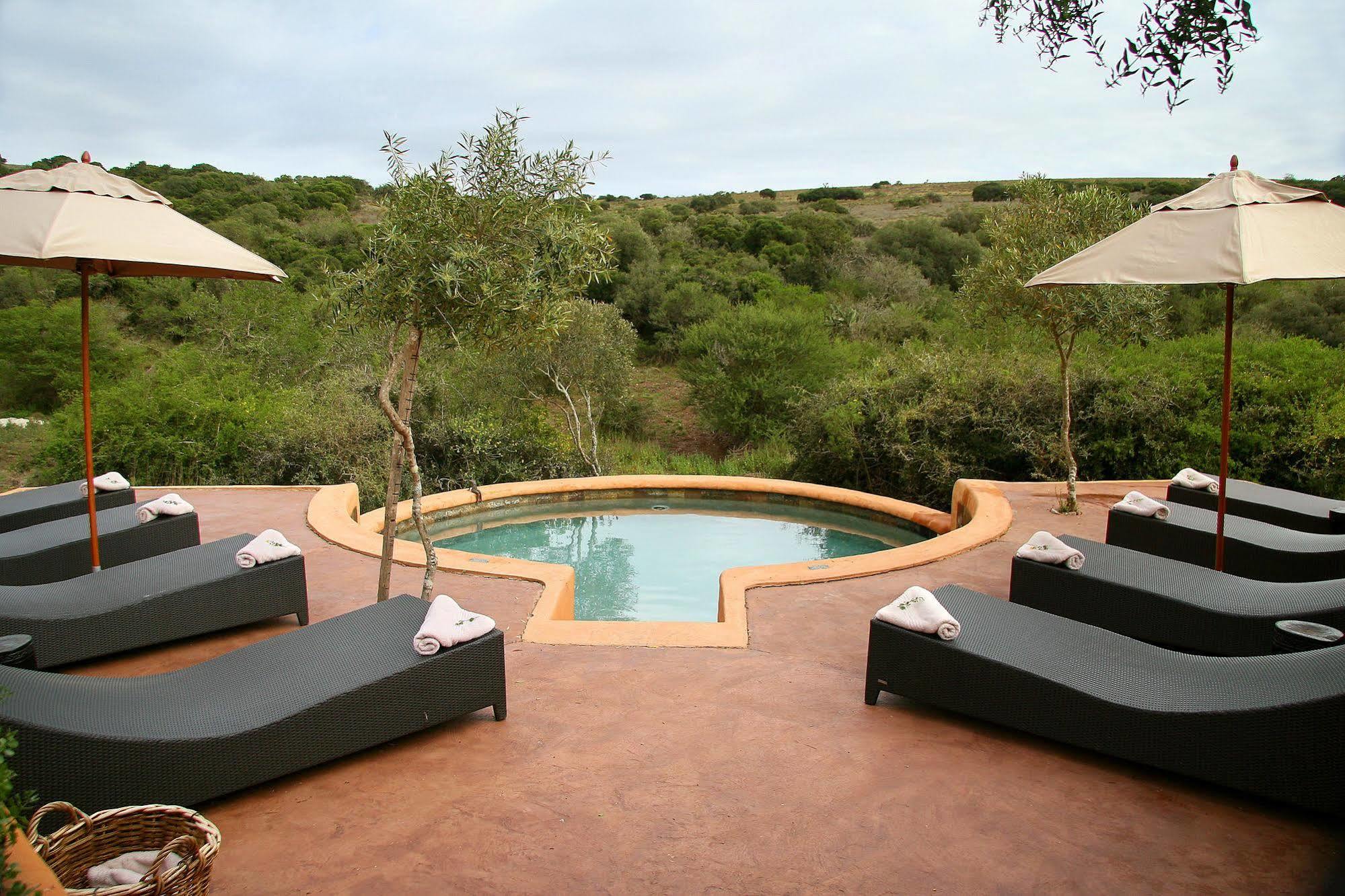 Paterson Amakhala Safari Lodge מראה חיצוני תמונה